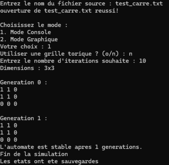 Interface console du Jeu de la Vie montrant les options de configuration et l'évolution des générations