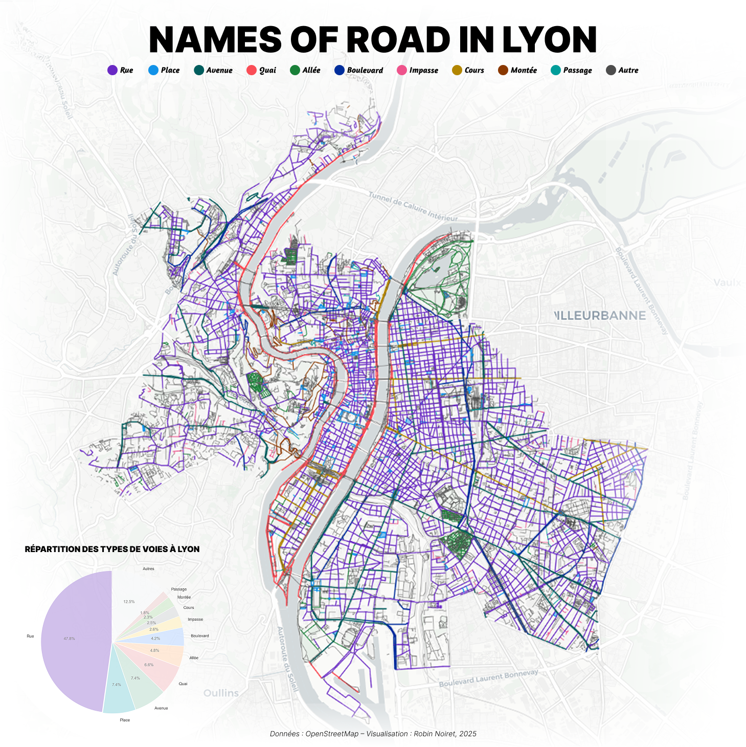Carte de visualisation des types de rues de Lyon